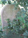 image of grave number 443960